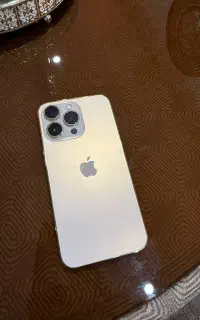 یه ترابایت iPhone 13 Pro