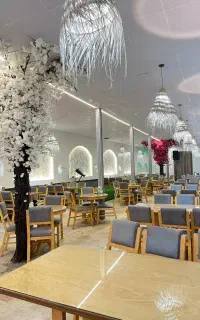 به چند نیروی کار خانوم اقا اشپز سالندار محدودخمام