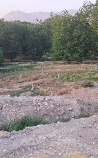 زمین باغ ۱۴۸۰ متری چالسرا انتهای کوچه شهید فردیس