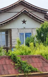 اجاره لاین در سالن گیسو