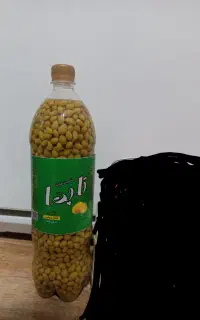 ادویه جات