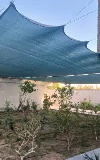 سایبان تور سبز باغ و گلخانه اهواز