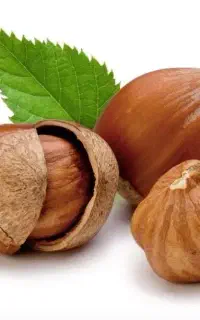 فروش ویژه فندق انیس ترکیه