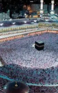 فروش سه عدد فیش حج عمره