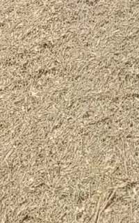 علف گذره کوهستان درجه یک