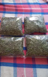 آنخ کوهی