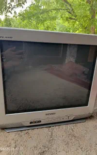 تلوزیون