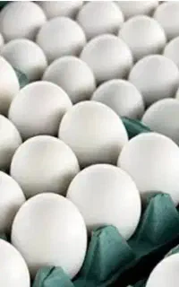 فروش تخم مرغ روز به قمت عمده
