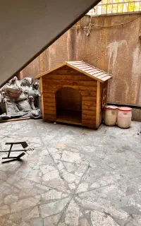 لانه چوبی و بزرگ سگ