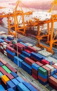 ترخیص کار/تملیکی/جانبازی/اظهارepl/ثبت سفارش