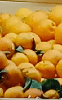 استخدام آقا و خانم فروشنده