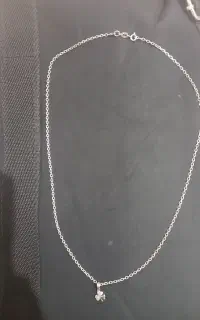 پلاک و زنجیر نقره طرح شبدر