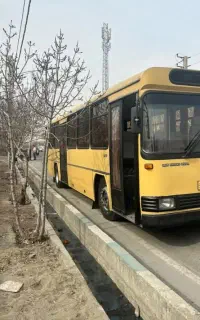 سرویس ودربستی