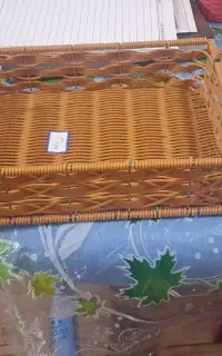 جا نونی بزرگ