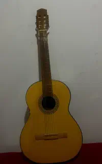 گیتار برند دالاهو