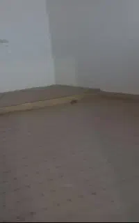 پلاز موکت دست دوم