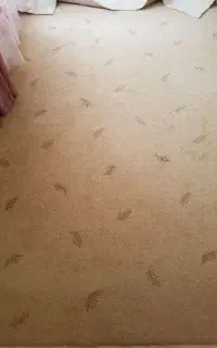 موکت پالاز