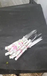 کاردمیوه خوری ۳۵۰عدد