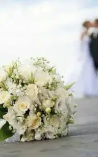 تالارعروسی و خانه عقد  راه آسان