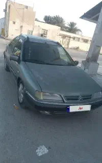 زانتیابازسازی شده کاملاسالم