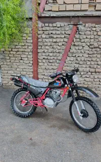 تریل ایکسل 250