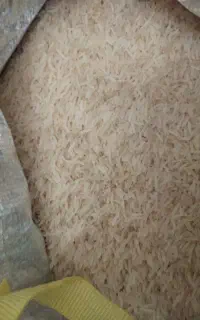 برنج هندی