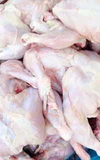 غذای سگ وگربه پای مرغ اسکلت