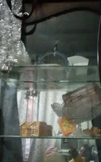بوفه چوبی نو