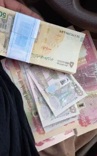 د.ینارکلکسیونی