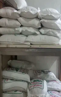 فروش برنج ایرانی فجر و طارم محلی