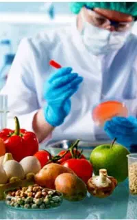 مهندس صنایع غذایی مسلط به صنعت غذا(سس مهرپذیر)