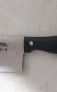 ساتور سالم