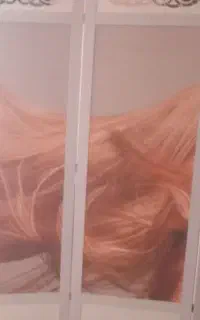 پاراوان دیوار چوبی نو