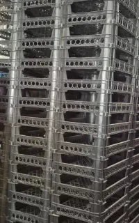 سبد میوه