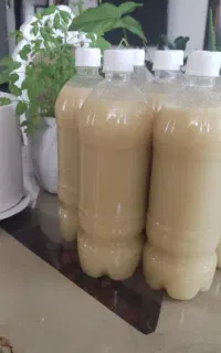 آبلیمو طبیعی