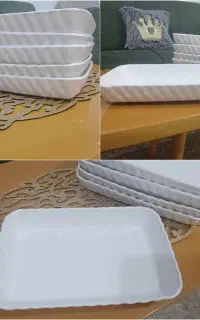 ظروف پذیرایی