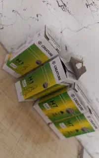 لامپ خودرو