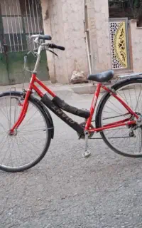دوچرخه حرفه ای