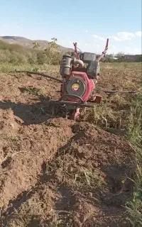 شخم زنی با تیلر