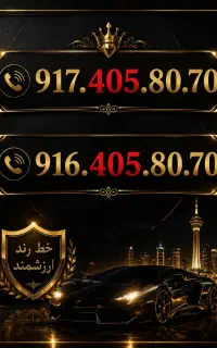 405 همزاد