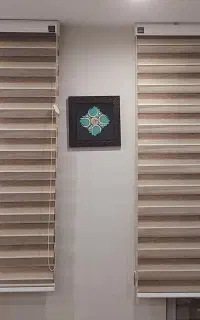 دوعدد پرده زبرا