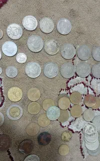 سکه
