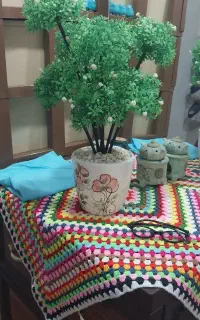درخچه کوچک