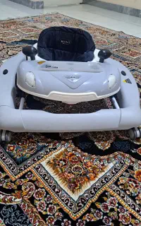روروئک دلیجان
