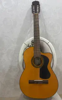 گیتار آریا