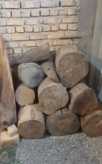 کنده درخت و تخته شعر