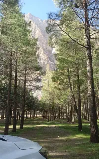 طبیعت گردی