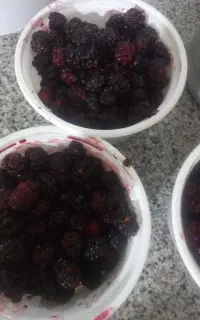 میوه شاتوت