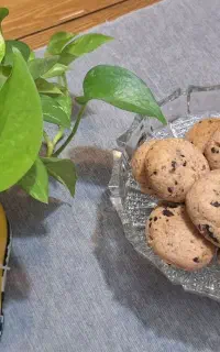 انواع کوکی
