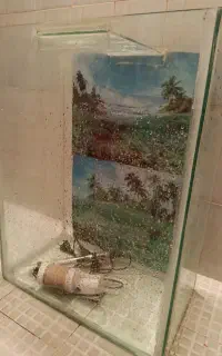 آکواریوم عمودی